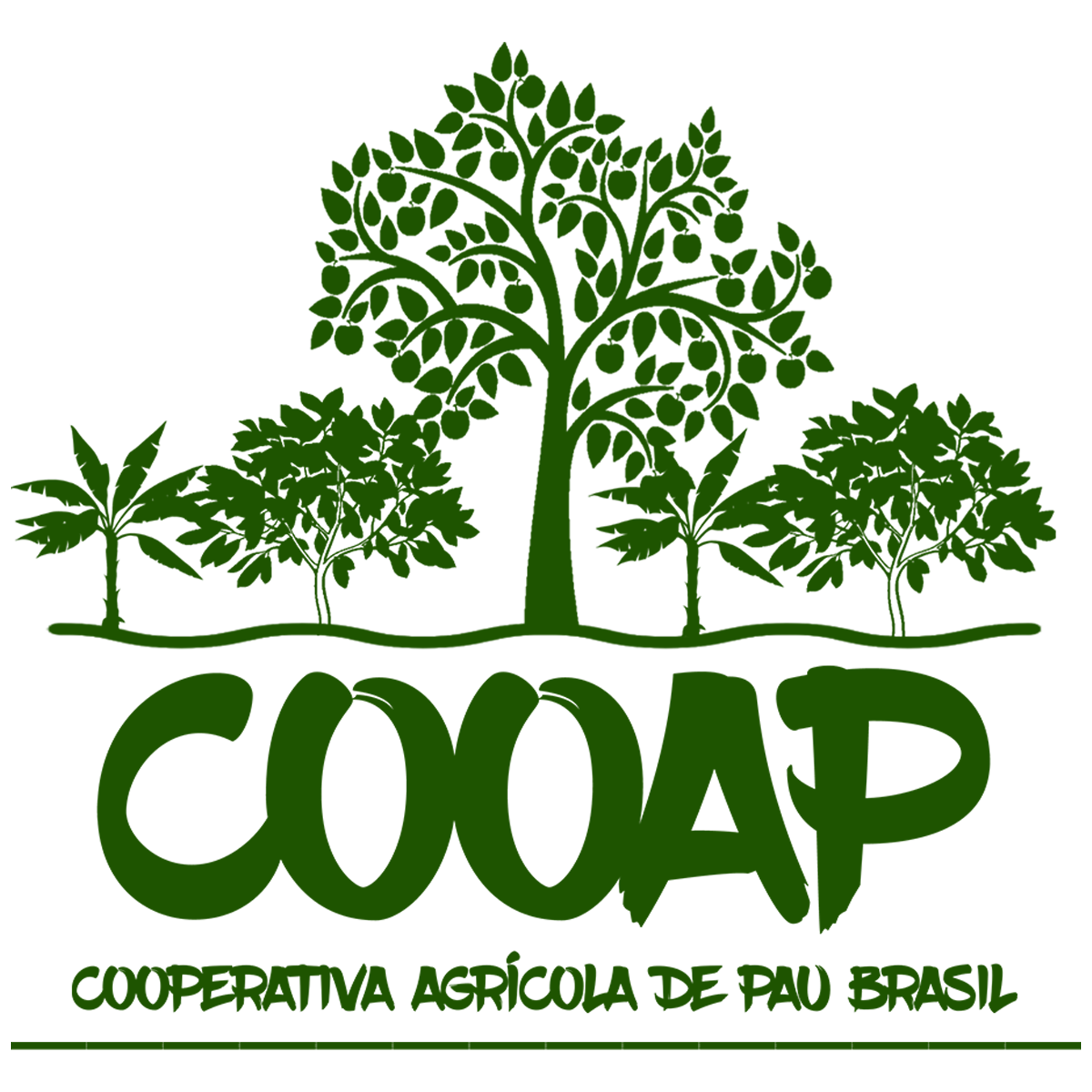 Cooperativa Agrícola de Pau Brasil – COOAP